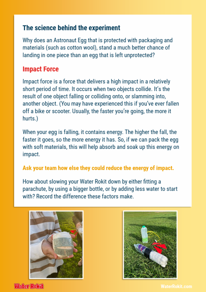 Astronaut Egg Experiment - page 3