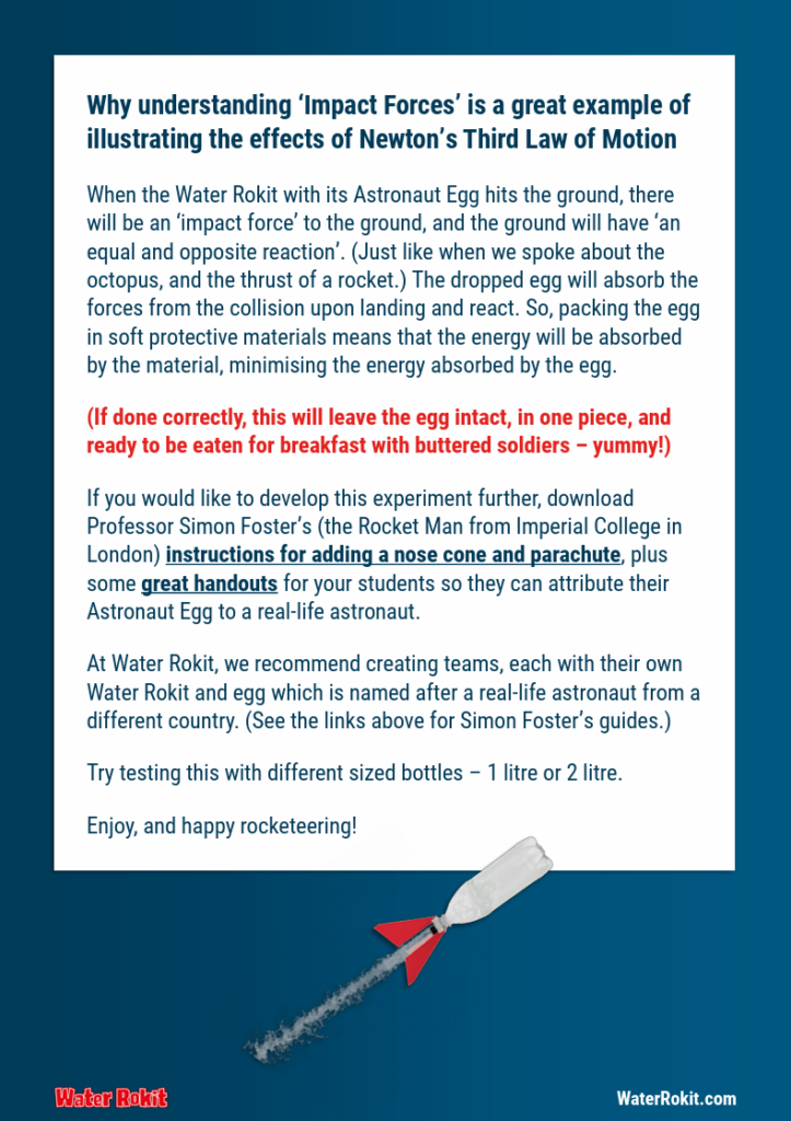 Astronaut Egg Experiment - page 4